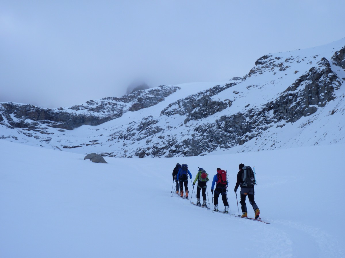 #15 Dans la montée : Du Grand Paradis Dans la montée : Du Grand Paradis