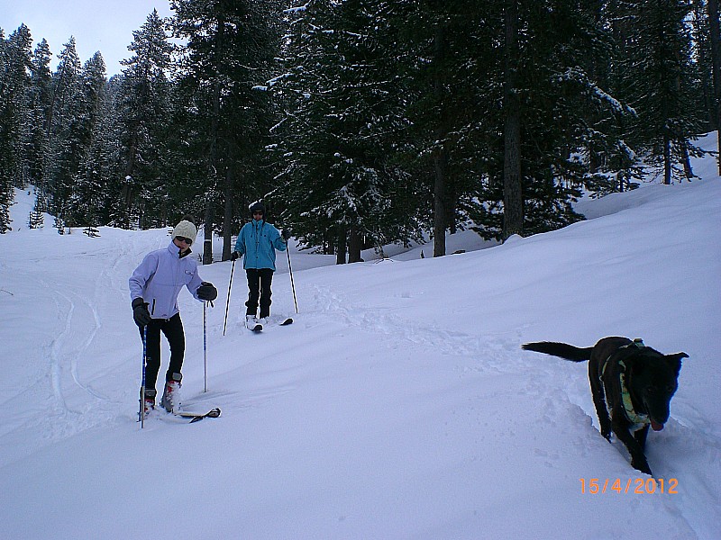#2 Bois de Péméant : Descente dans la neige lourde Bois de Péméant : Descente dans la neige lourde