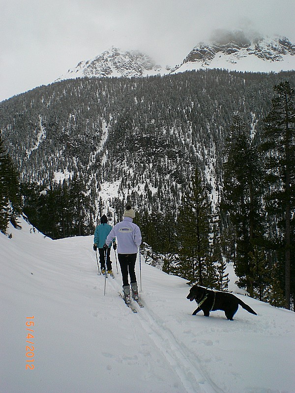 #3 Bois de Péméant : retour par la piste de ski de fond Bois de Péméant : retour par la piste de ski de fond