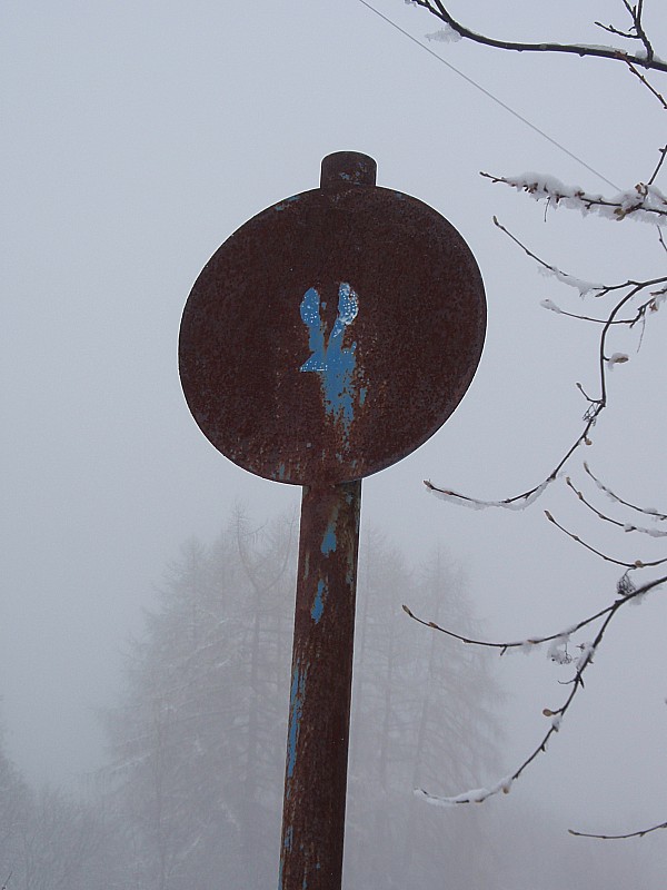 #11 Ancienne piste? : Je me demande si ces anciens panneaux sont ceux d Ancienne piste? : Je me demande si ces anciens panneaux sont ceux d'une ancienne piste. Déplacés ou bien réellement une piste au Sapey?
Pourtant pas de trace de téléski, mais saignée dans la forêt (itinéraire montée)