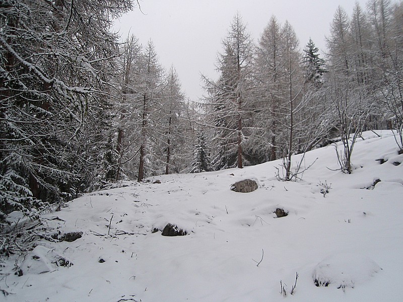 #2 Enneigement 1700 : par endroits ça ne passe pas... attention à la descente Enneigement 1700 : par endroits ça ne passe pas... attention à la descente