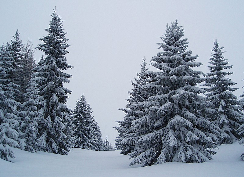 #4 Grand Nord : Comme revenus en hiver Grand Nord : Comme revenus en hiver