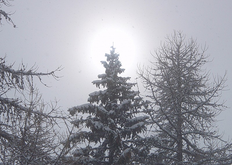#8 Soleil (2) : Il me nargue encore Soleil (2) : Il me nargue encore