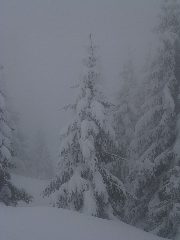 #1 Grand Rocher : Brouillard, neige, personne... silence. Grand Rocher : Brouillard, neige, personne... silence.