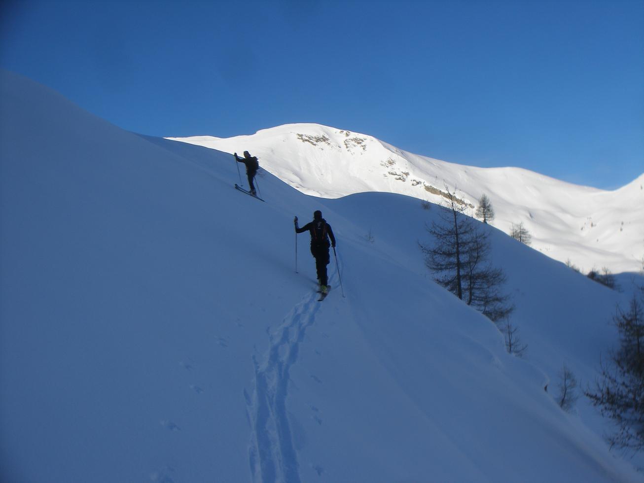 #1 fredo et fils à la trace : quelques cm de poudre posés sur un neige portante ça s fredo et fils à la trace : quelques cm de poudre posés sur un neige portante ça s'annonce bien