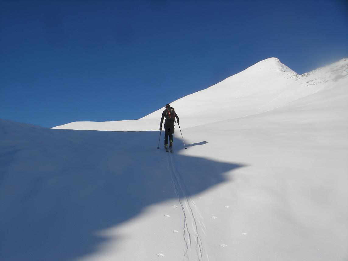 #3 il pointe son nez il pointe son nez