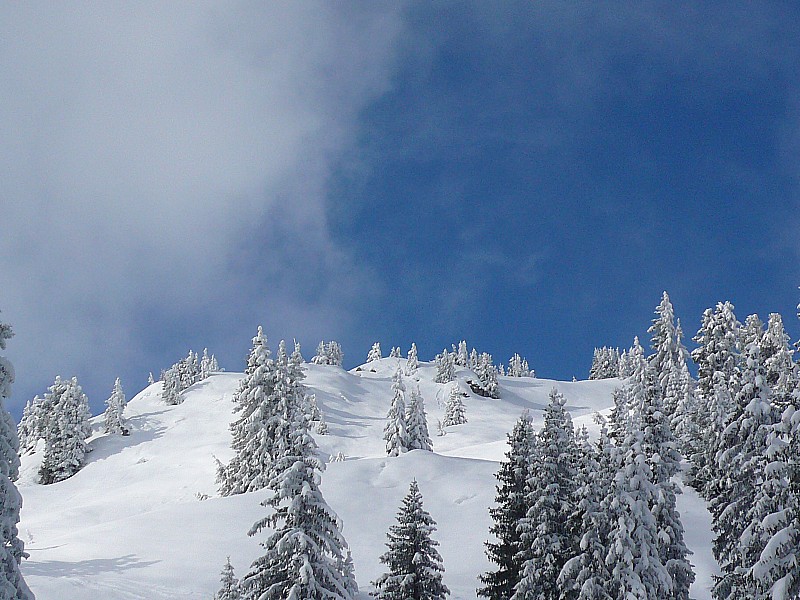 #1 beautés hivernales beautés hivernales