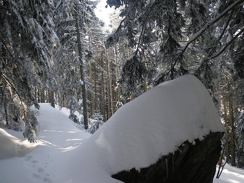 un peu de neige : à la montée sur le GR