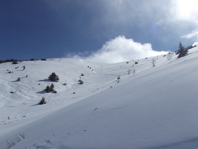 #1 montée : avec le beau temps montée : avec le beau temps