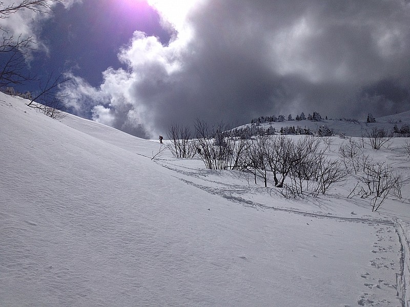 #5 sous le col : sous léchaud sous le col : sous léchaud