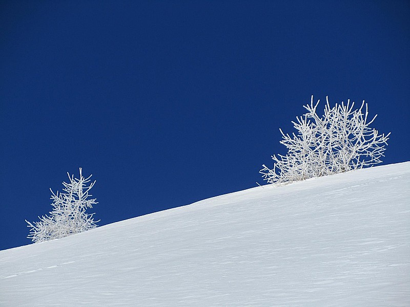 #3 MT Pelat : Paysages d MT Pelat : Paysages d'hiver