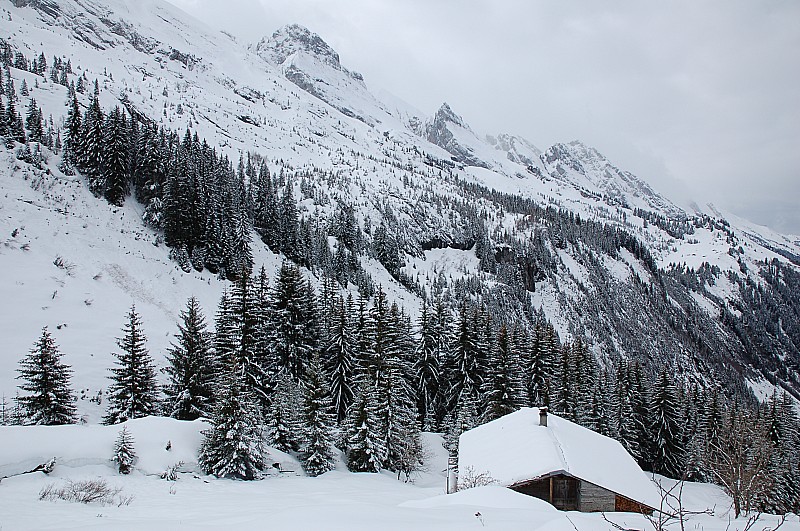 #8 L L'enfilade des Aravis : Avant de rentrer dans la forêt