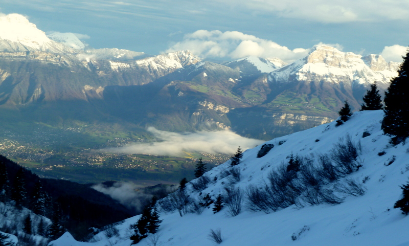 #5 Chartreuse du matin : n Chartreuse du matin : n'annonce pas obligatoirement le grain.