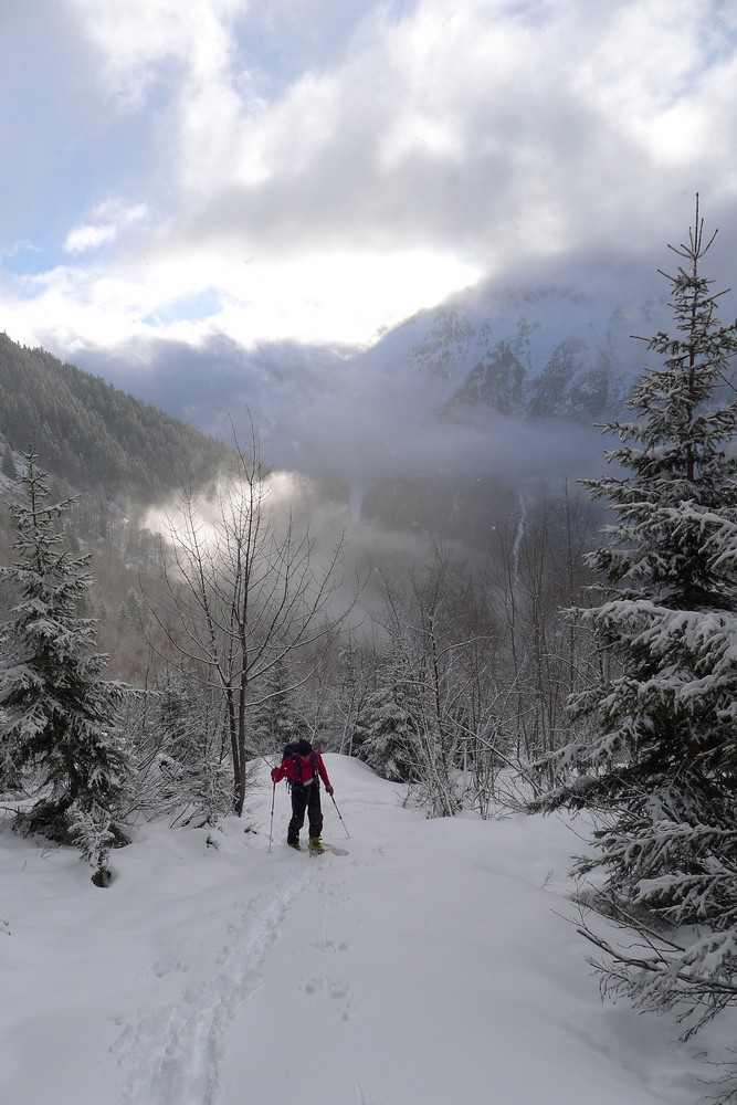 Montée dans le vallon