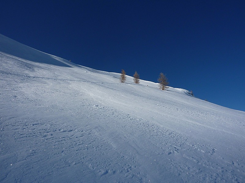 #3 traversée : un peu plus haut traversée : un peu plus haut