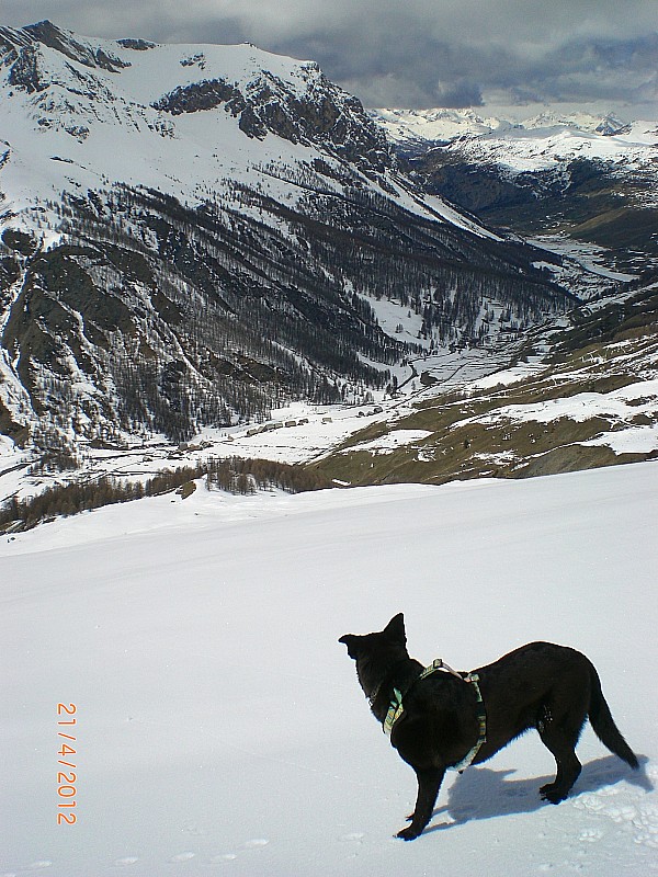#17 Cime de Clausis : Le retour aux chalets des chalps. Cime de Clausis : Le retour aux chalets des chalps.
