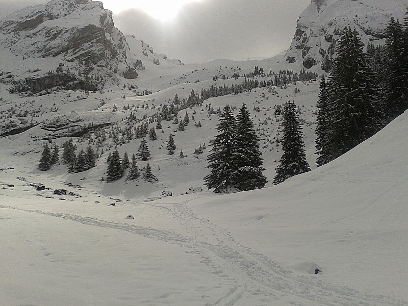 #1 Combe de grand crêt : Au départ, juste après le parking Combe de grand crêt : Au départ, juste après le parking