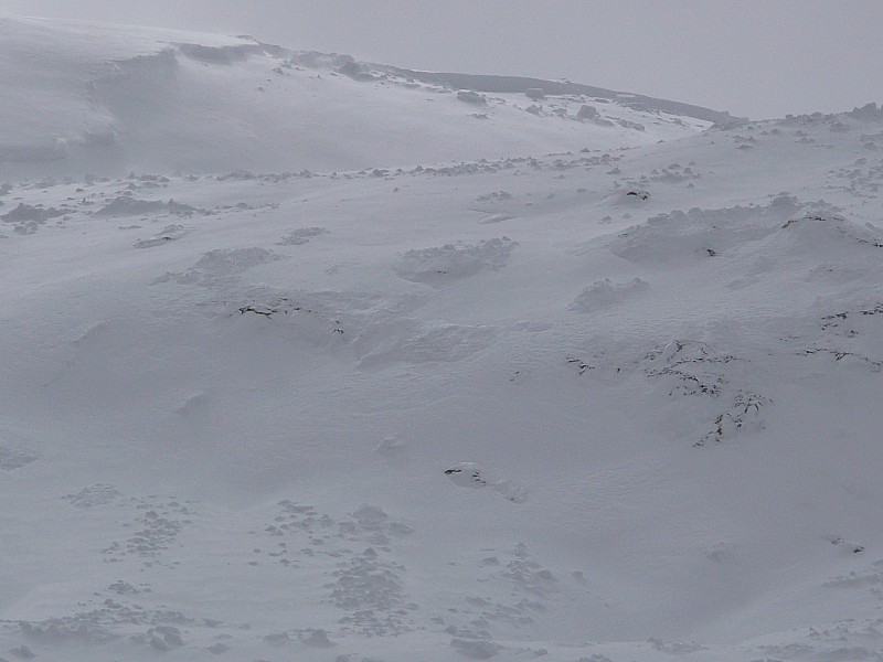 #3 Rochail : Le milieu du vallon est ravagé >2000. Rochail : Le milieu du vallon est ravagé >2000.