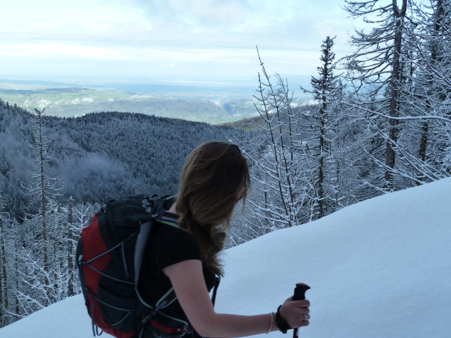 #3 Dans la forêt : L Dans la forêt : L'hiver en haut, le printemps en bas