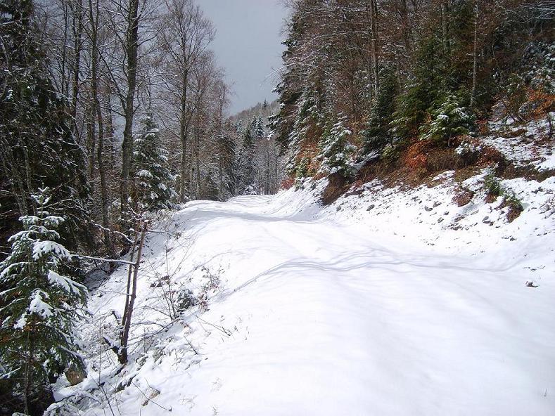 #2 Lances de Malissard : La neige apparaît vite une fois sur le chemin vers le Passage de l Lances de Malissard : La neige apparaît vite une fois sur le chemin vers le Passage de l'Aulp du Seuil