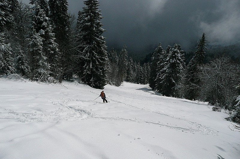 #1 ancienne piste : les traces de la vielle se sente à piene ancienne piste : les traces de la vielle se sente à piene