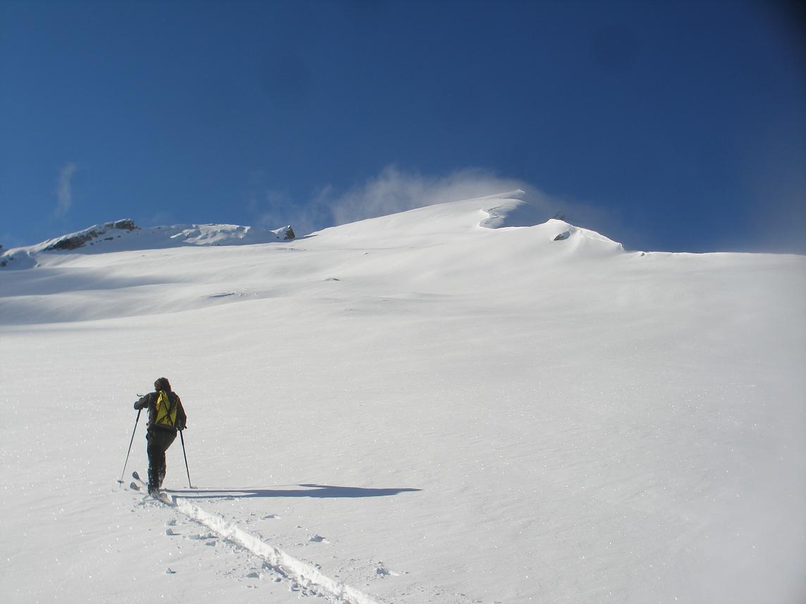 #2 c c'est l'hiver! : blanc de chez blanc!