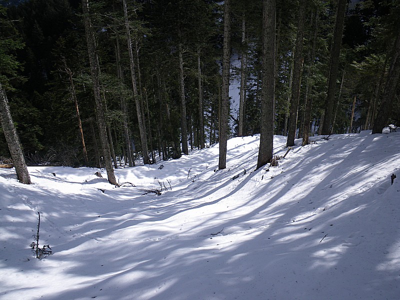 #5 foret après le point 1090 : premières conversions au Pilat foret après le point 1090 : premières conversions au Pilat