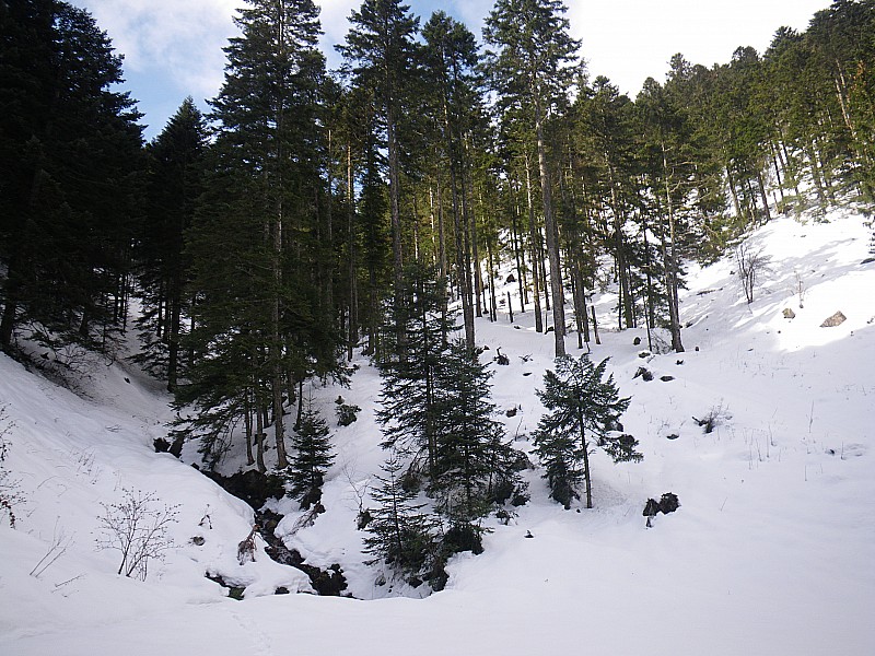 #4 au point 1090 (Le Sara) : Après le ruisseau on monte dans la foret en face au point 1090 (Le Sara) : Après le ruisseau on monte dans la foret en face