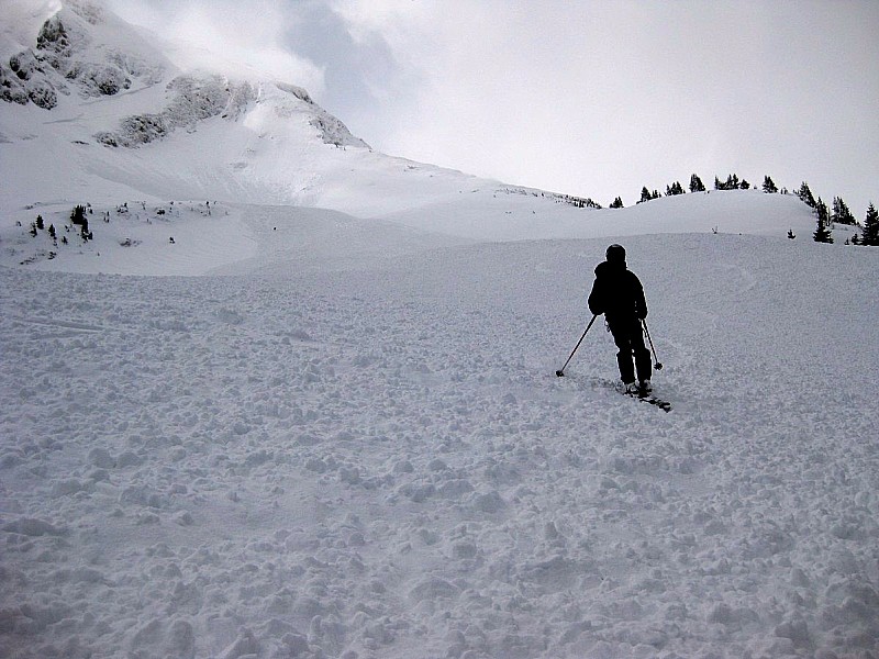 #9 La langue de l La langue de l'avalanche, entre 400 et 500m de long.