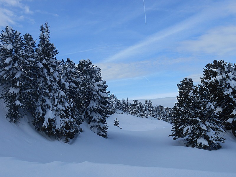 descente : croix de chamrousse