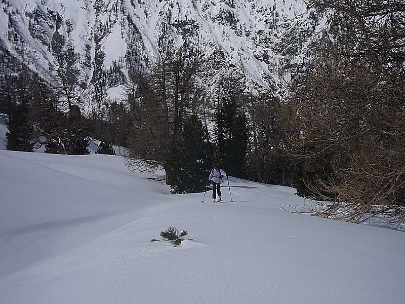 #1 En sortant de la foret En sortant de la foret