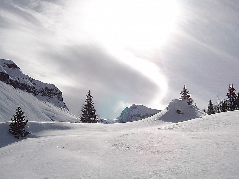 #1 25 avril : Vue hivernale... : à environ 2000 m... 25 avril : Vue hivernale... : à environ 2000 m...