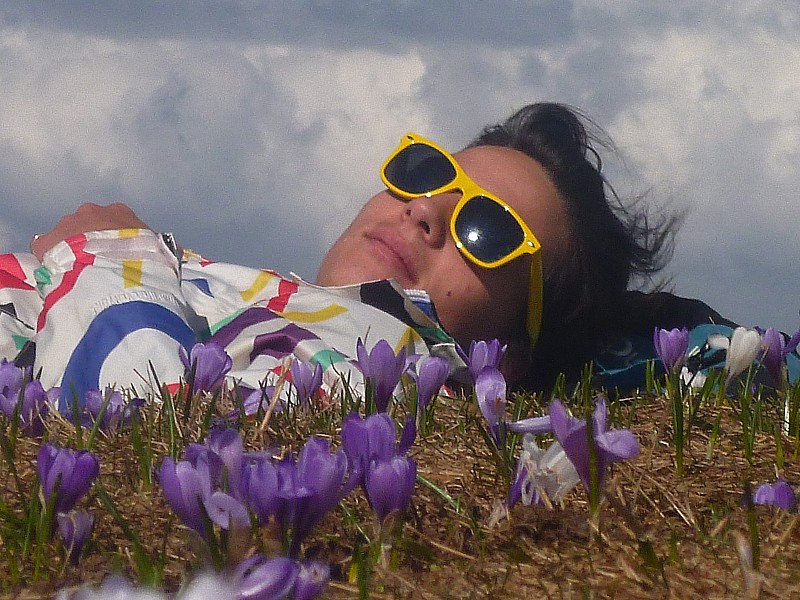 #12 Grand Rocher : 29 avril 2012. Les crocus de Séchident - point 1849. Grand Rocher : 29 avril 2012. Les crocus de Séchident - point 1849.