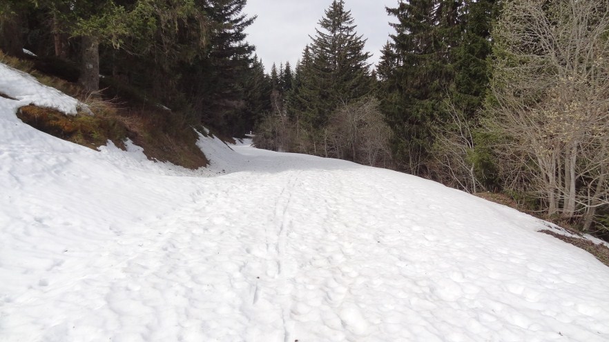 #1 Départ : piste bien en neige Départ : piste bien en neige