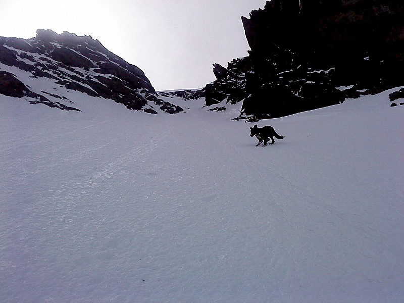 #6 Pic du Doménon : Cherko ce balade dans le couloir Pic du Doménon : Cherko ce balade dans le couloir