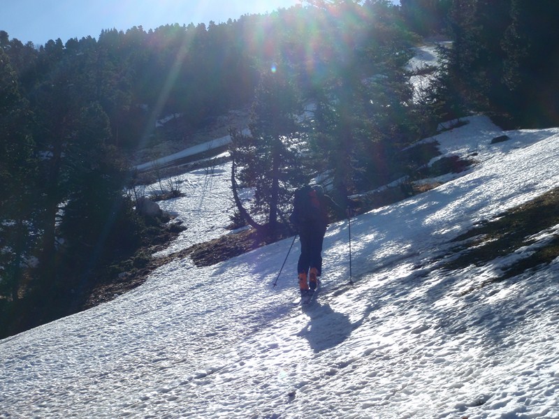 #1 montée dans les sapins : finalement cela passe pas mal montée dans les sapins : finalement cela passe pas mal