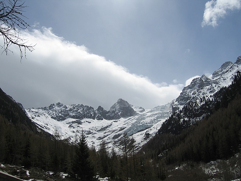 #5 Glacier du Trient : Glacier du Trient et Pointe d Glacier du Trient : Glacier du Trient et Pointe d'Orny