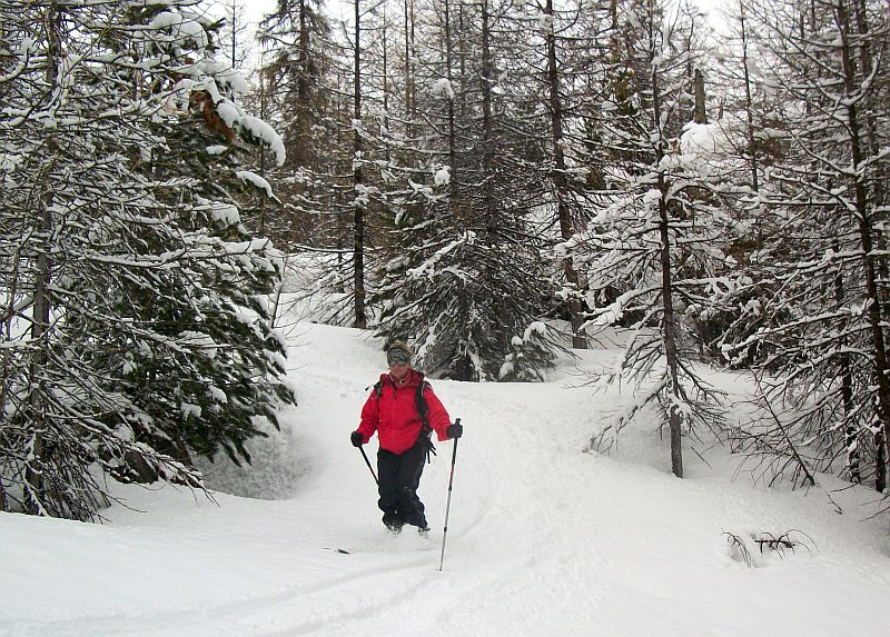 #8 dans les bois : encore facile et relax à skier dans les bois : encore facile et relax à skier