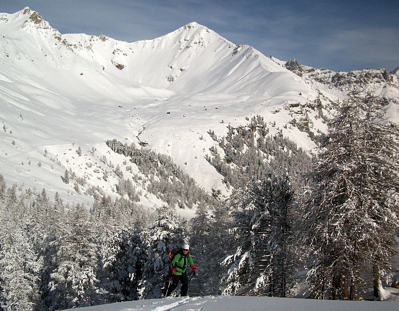 #4 couleurs du jour : blanc sur vert, les couleurs du jour !.. couleurs du jour : blanc sur vert, les couleurs du jour !..