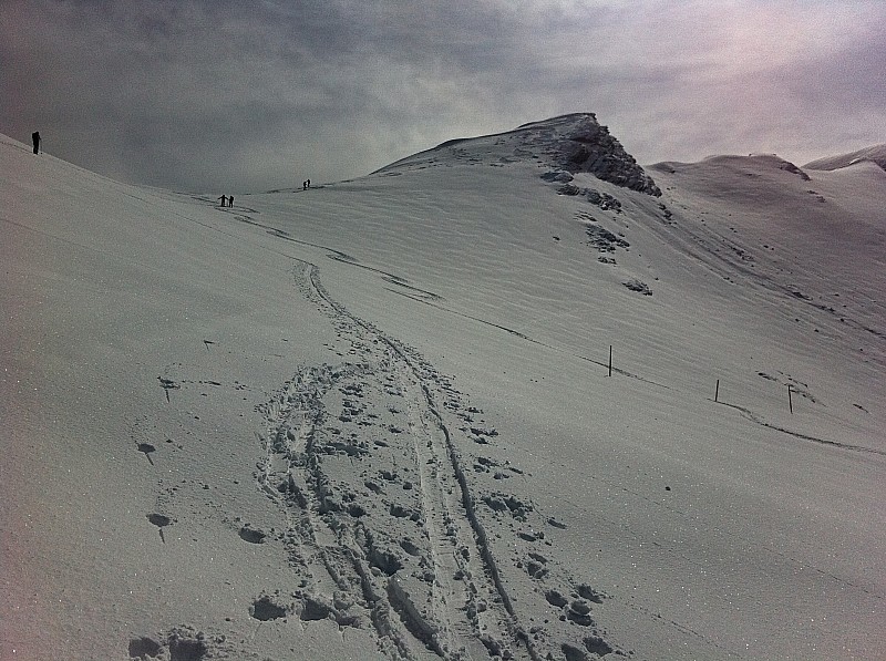 #2 piste de l piste de l'Aiguille : neige poudreuse sur quelques centimètres , agréable et belle lumière tamisée