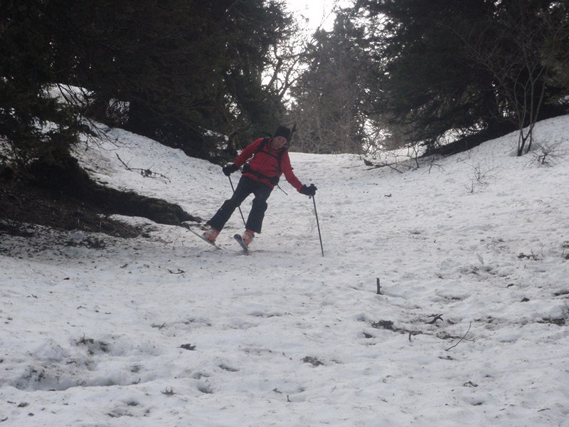 #4 Gérard en action : Style aérien , mais il faut bien éviter quelques branches ! Gérard en action : Style aérien , mais il faut bien éviter quelques branches !