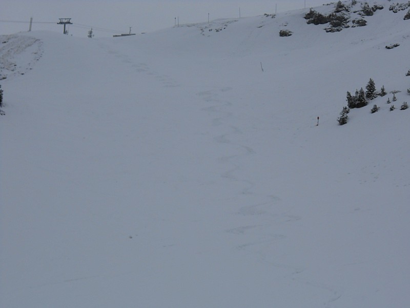 #5 descente : bonne neige descente : bonne neige