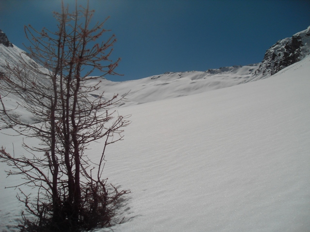 #9 Le vallons de Pierre Rouge, belle neige pour la saison. Le vallons de Pierre Rouge, belle neige pour la saison.