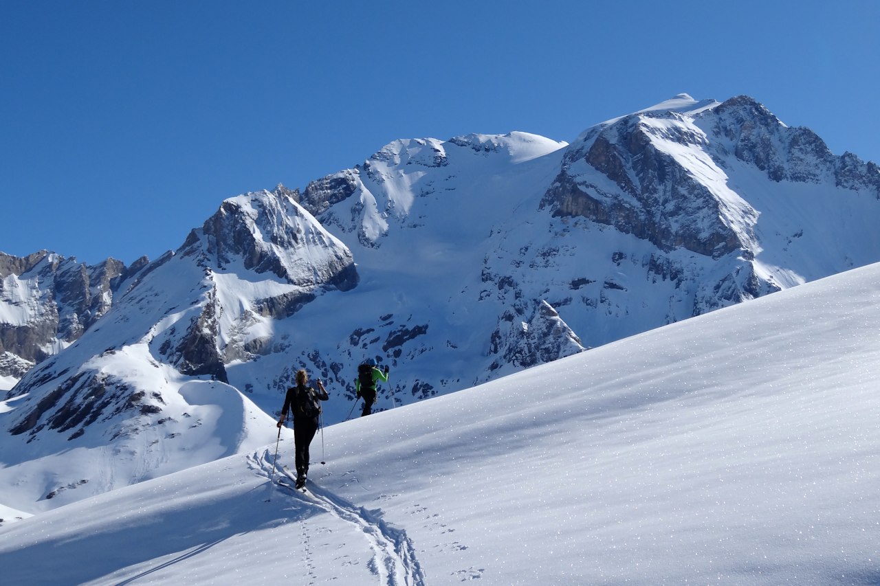 #4 Vers le Lac des Assiettes : Avec vue sur la Grande Casse. Vers le Lac des Assiettes : Avec vue sur la Grande Casse.