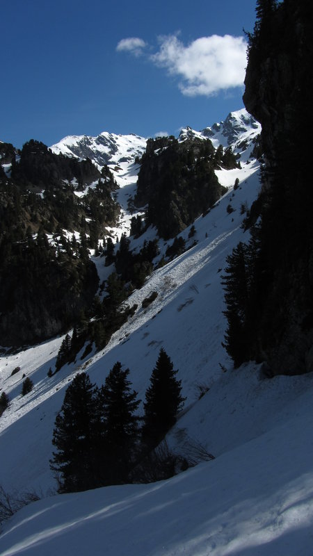 #23 SDX-15 : Faut remonter..le passage un peu chaud entre les sapins...Juste quand Toz m SDX-15 : Faut remonter..le passage un peu chaud entre les sapins...Juste quand Toz m'appelle pour me demander des nouvelles !