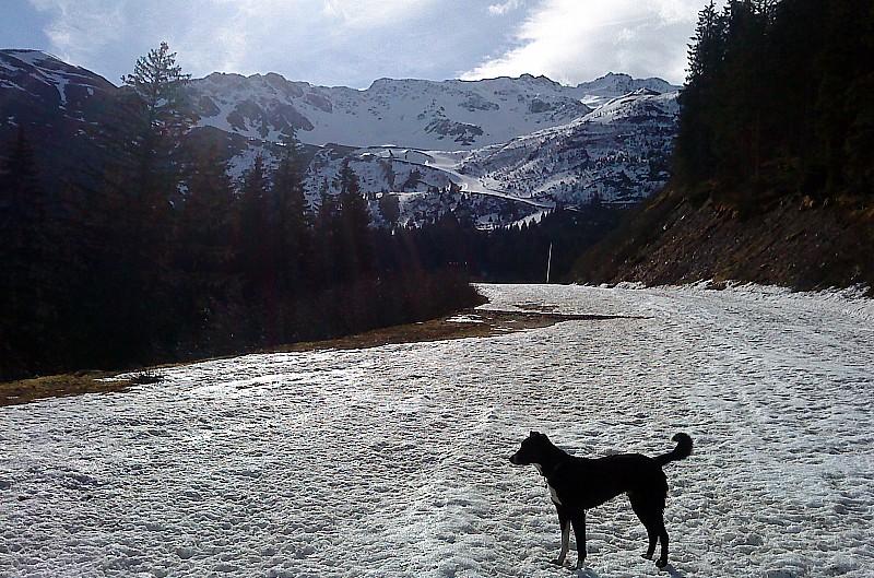 #1 Cime de la Jasse : neige dès le départ Cime de la Jasse : neige dès le départ