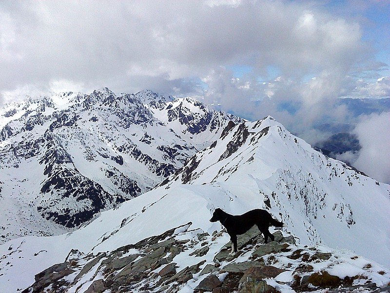 #7 Cime de la Jasse : les aretes de Bédina Cime de la Jasse : les aretes de Bédina