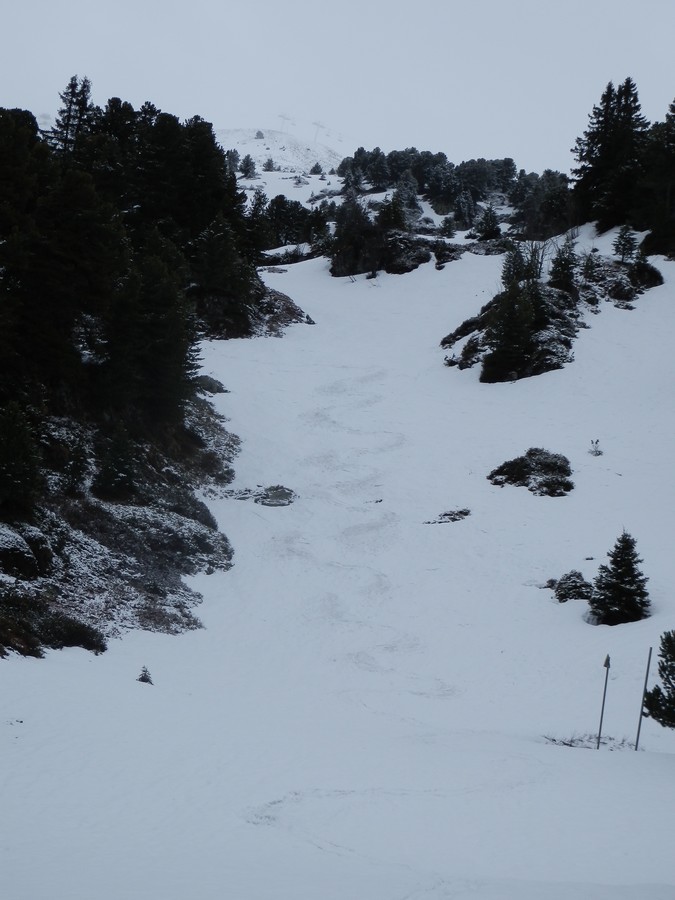#2 Encore du tout bon : La neige est lourde mais cela passe bien Encore du tout bon : La neige est lourde mais cela passe bien
