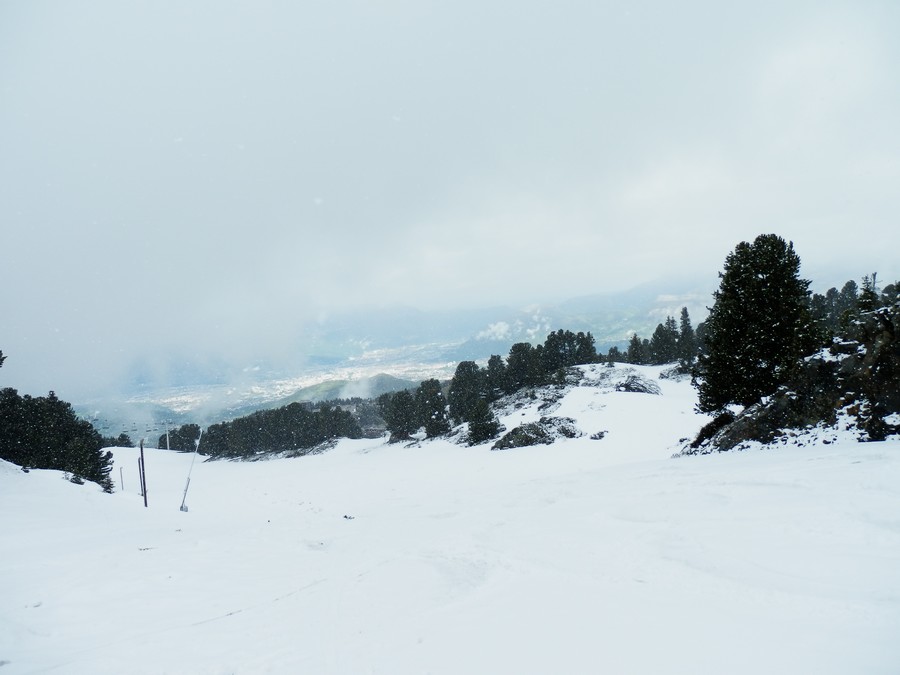 #3 Chutes de neige en mai : Prise au flash, juste pour voir les flocons... Chutes de neige en mai : Prise au flash, juste pour voir les flocons...