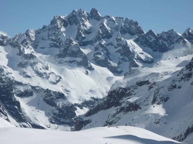 #8 Agneaux : Les Agneaux : le S est bien maigre... Agneaux : Les Agneaux : le S est bien maigre...